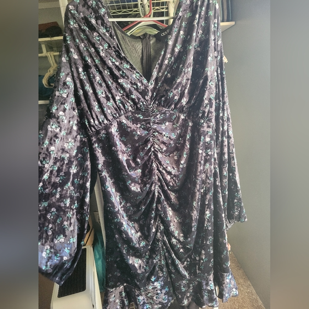 Cider 4x stretch velvet rucheted floral dress
